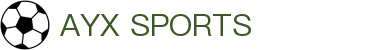 爱游戏体育(中国)官方网站_AYX SPORTS