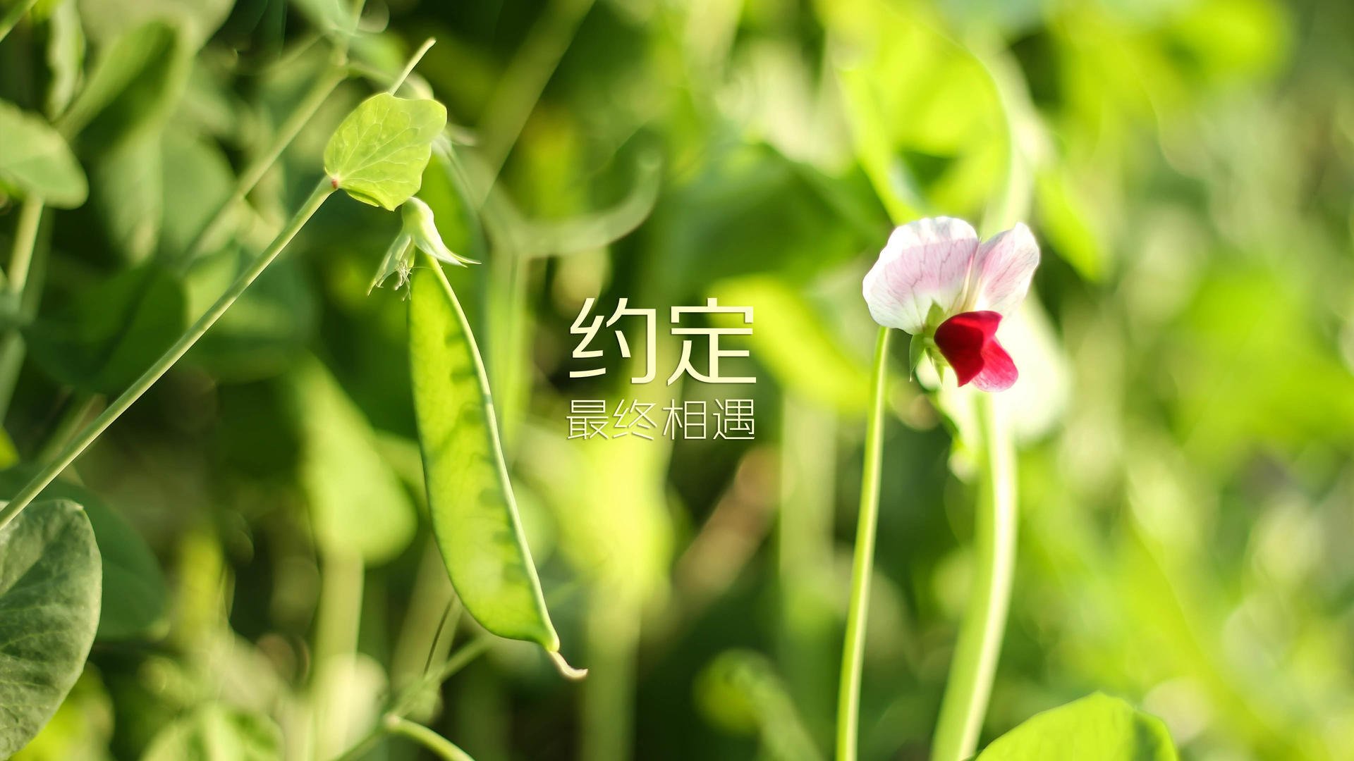 爱游戏ayx-世界杯筹备进展顺利 多项基础设施提前交付,世界杯方面  第2张 爱游戏ayx-世界杯筹备进展顺利 多项基础设施提前交付,世界杯方面  第2张