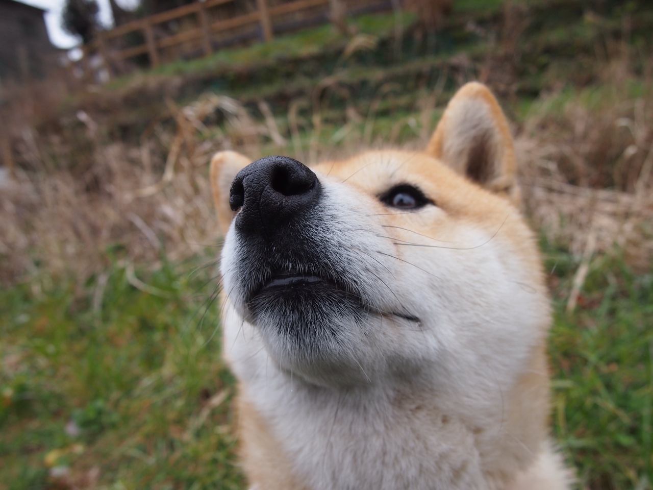 爱游戏网页版-五大联赛是否通过战术层级管理提升临场灵活性,五大联赛水平  第2张 爱游戏网页版-五大联赛是否通过战术层级管理提升临场灵活性,五大联赛水平  第2张