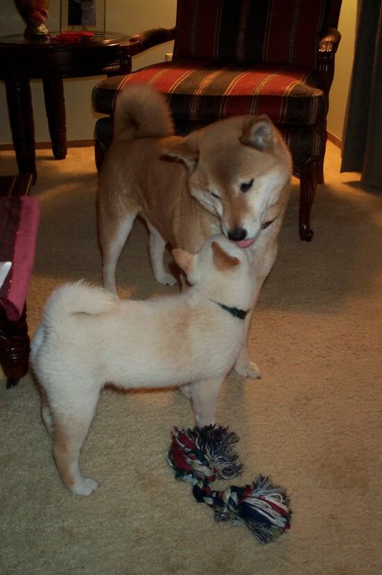 爱体育娱乐入口-俱乐部资金风险大，俱乐部资金风险大怎么办