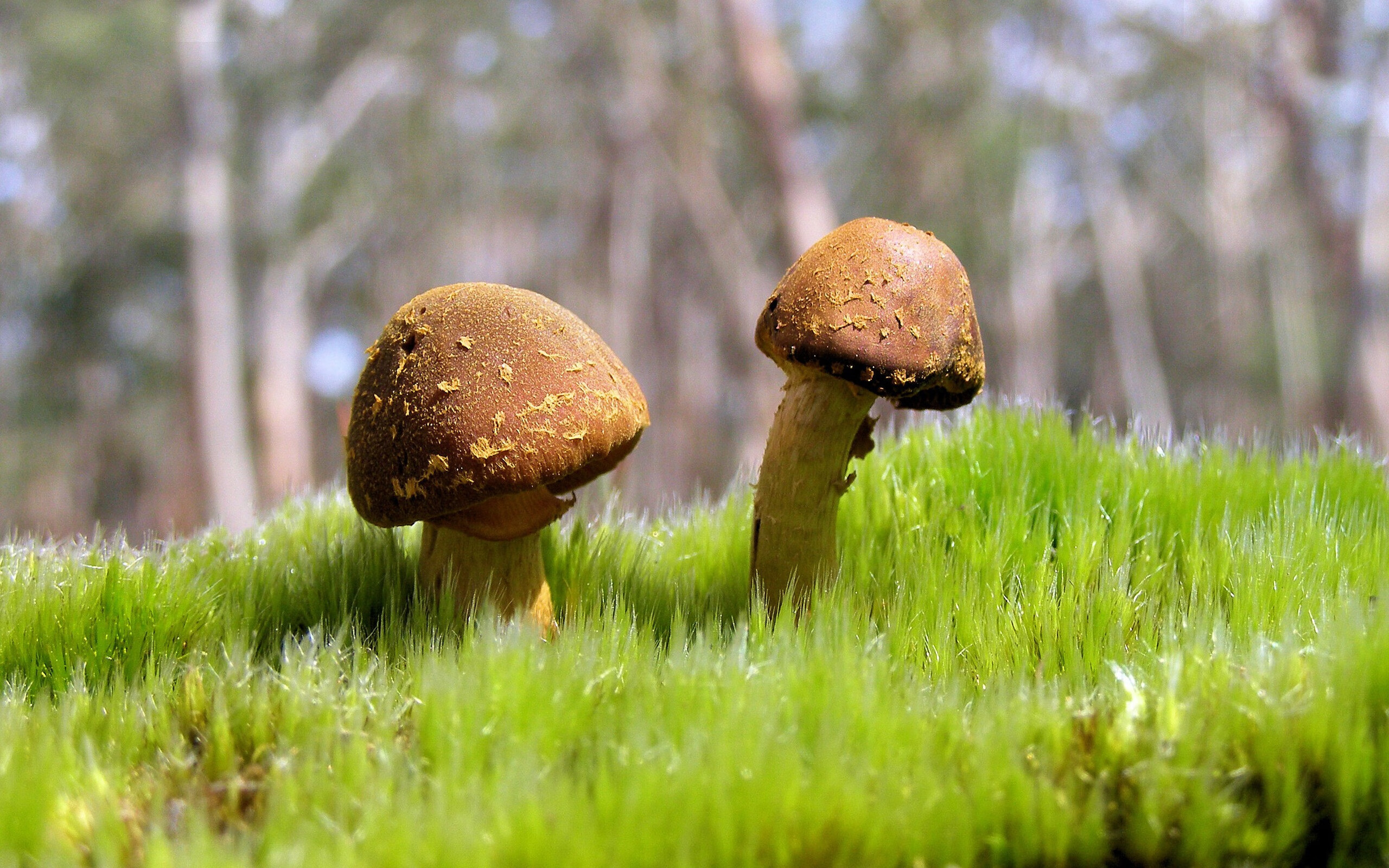 爱游戏体育APP下载-博卡攻防转换慢，屡遭反击，博卡官方网站  第2张