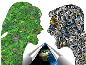 爱游戏真人体育娱乐-基层足球发展如何打破资源壁垒,足球如何突破