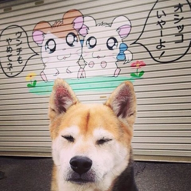 爱游戏大厅官网-球队梯队体系趋于完善储备人才步入正轨,球队分配 第1张 爱游戏大厅官网-球队梯队体系趋于完善储备人才步入正轨,球队分配 第1张