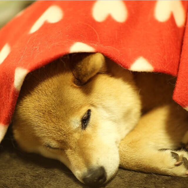 爱游戏官方-联盟中最擅长节奏压制的防守组合是谁,联盟最强防守