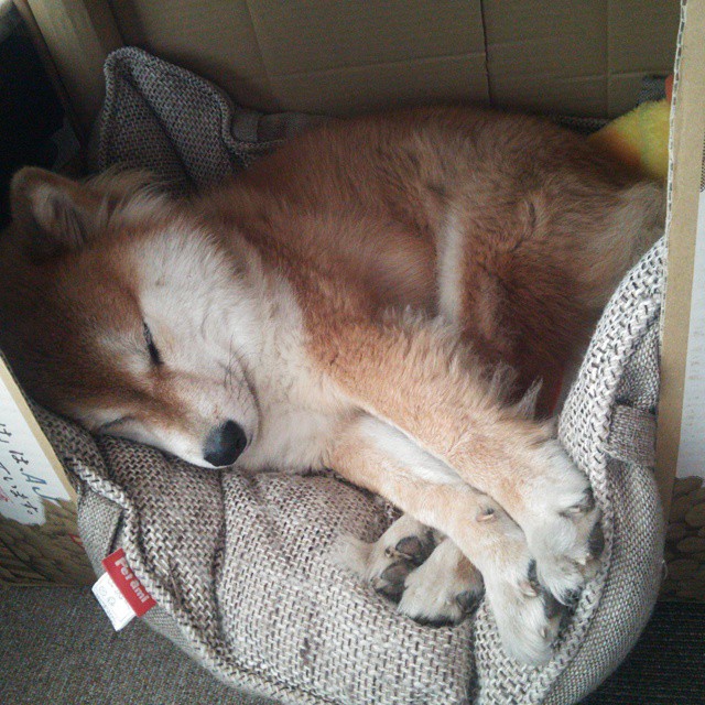 爱游戏官网-青训营地设施条件是否影响训练质量,青训营多长时间