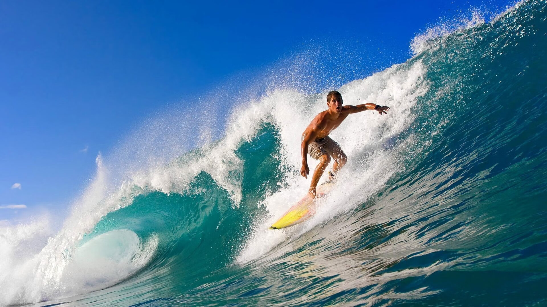 世界杯：经济学家以胜负结果拟合股市短期波动 推出趣味模型